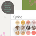Load image into Gallery viewer, 4 Seasonal Color Palettes Consultation Kit (Editable Version) - wearitmilano